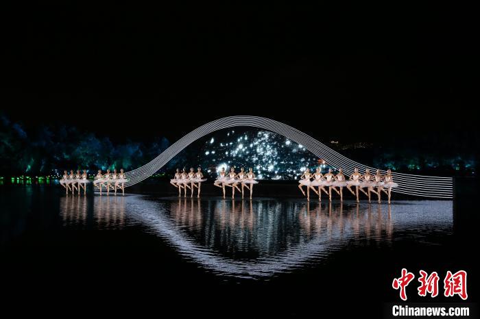 图为《天鹅湖》 杭州印象西湖供图 摄