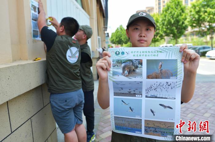 志愿者展示保护野生动物宣传海报。　王海滨 摄